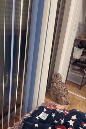 投稿動画のワンシーン