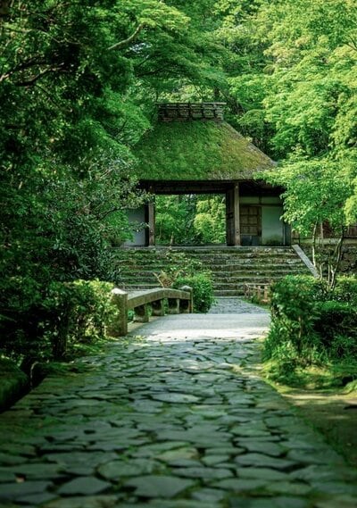 投稿の画像