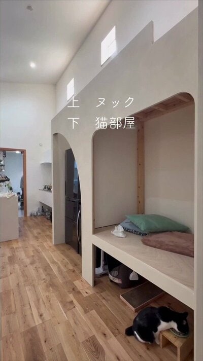 変身後のヌック
