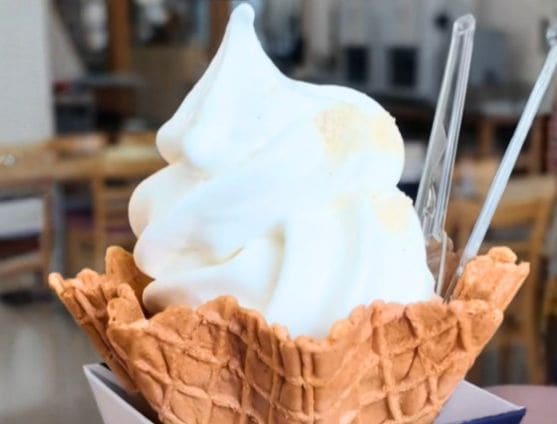 長野県の道の駅で食べる「大豆のソフトクリーム」！ ミルキーな甘さとの意外な組み合わせに「めっちゃ合う」