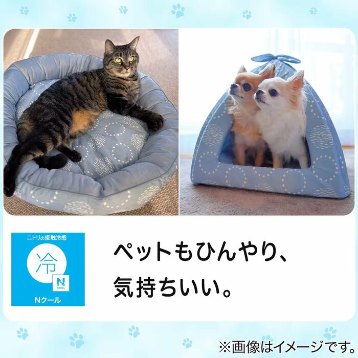 ニトリから展開されているNクールのペットベッドシリーズ