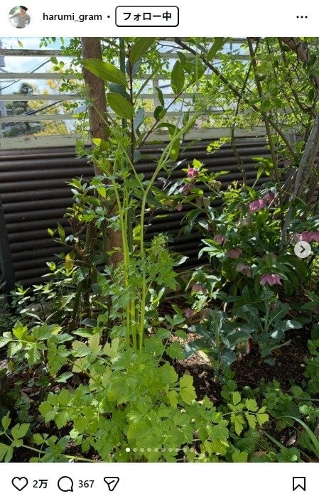 出所：栗原はるみのInstagram（＠harumi_gram） 参照日：2026年3月30日