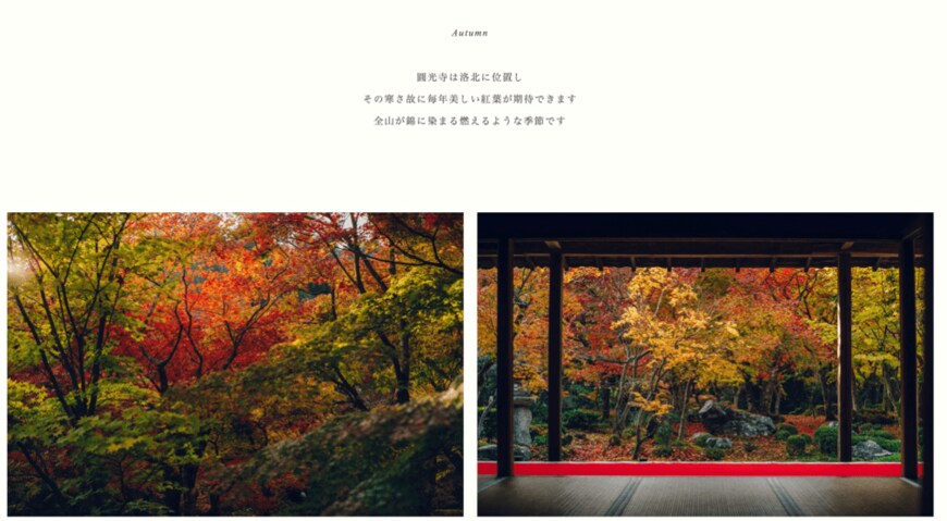 出所：瑞巌山 圓光寺 「Autumn」