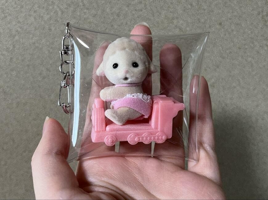 筆者撮影（セリア、PVCクリアミニポーチスクエア）