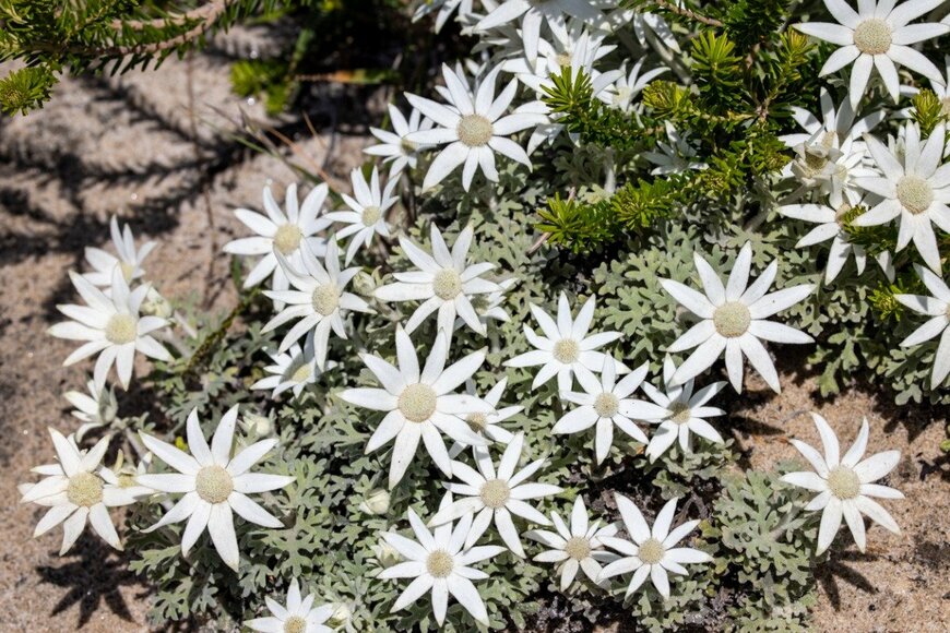 Ken Griffiths/istockphoto.com