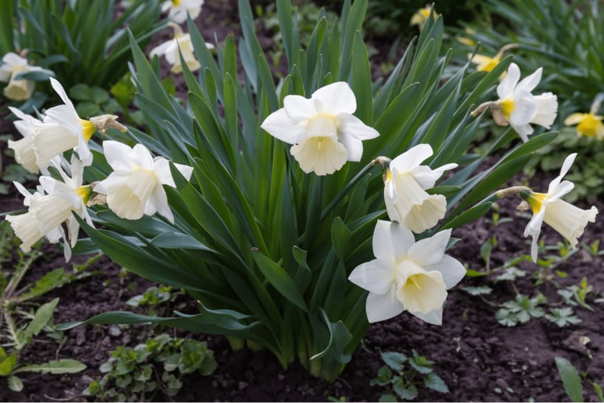 anmbph/istockphoto.com