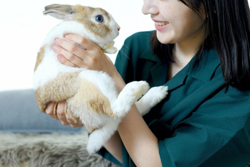 koumaru/shutterstock.com