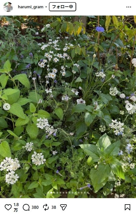 出所：栗原はるみのInstagram（＠harumi_gram） 参照日：2026年4月21日