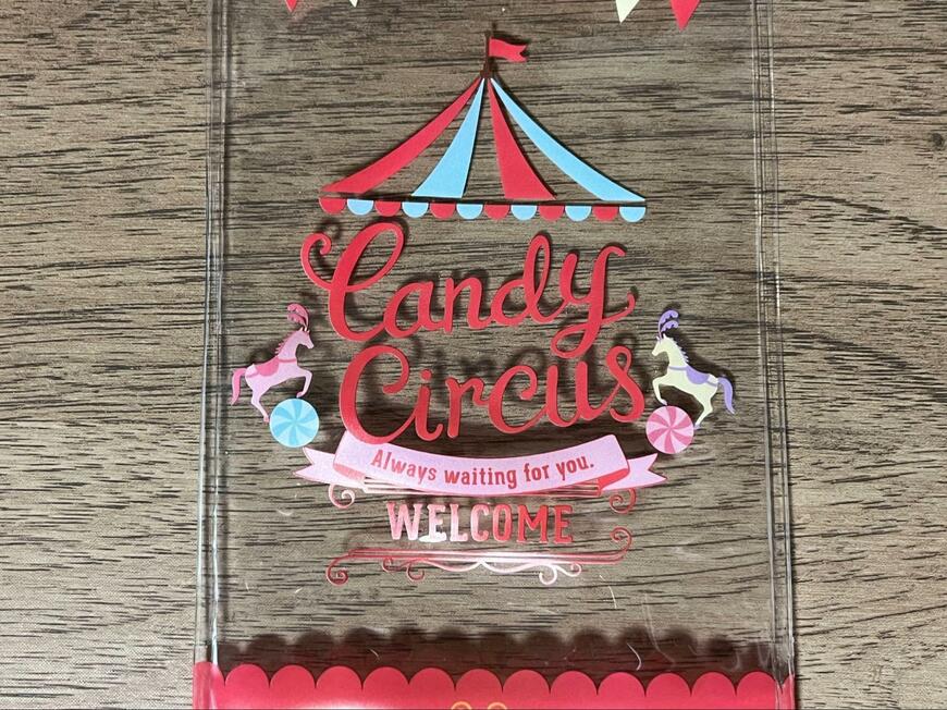 筆者撮影（ダイソー、スタンドペンケース（ＢＮＤ、サーカス））