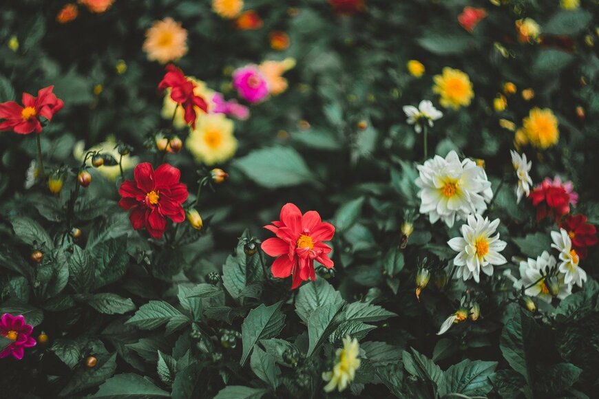 anna avdeeva/istockphoto.com