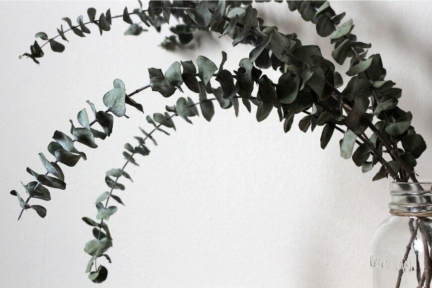 Michael L Brown/Shutterstock.com