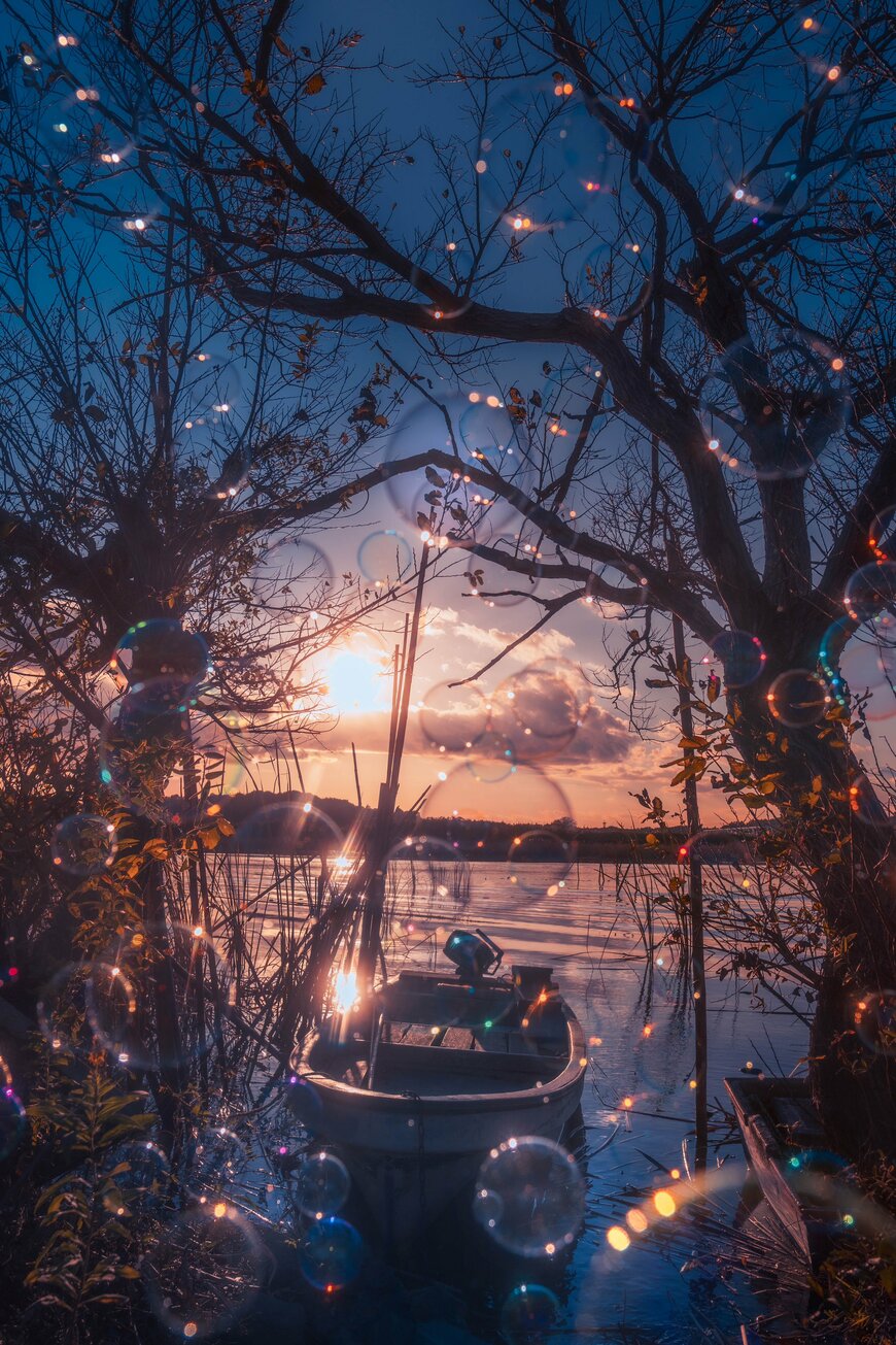 出所：@pomu_iyashi