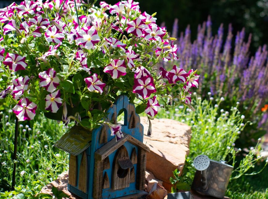 A. L. Reece/shutterstock.com