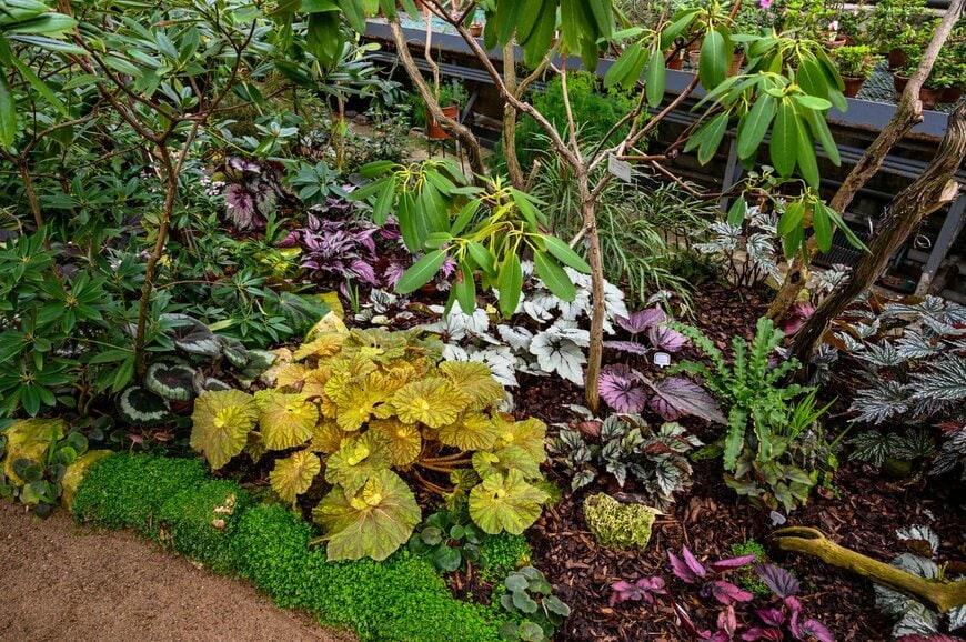 Shabala/istockphoto.com