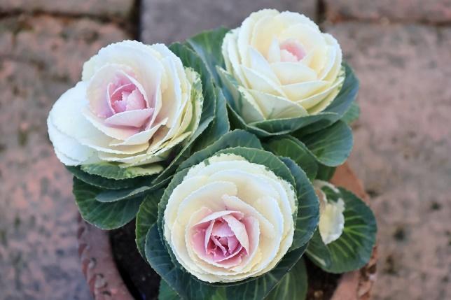 出所：筆者撮影