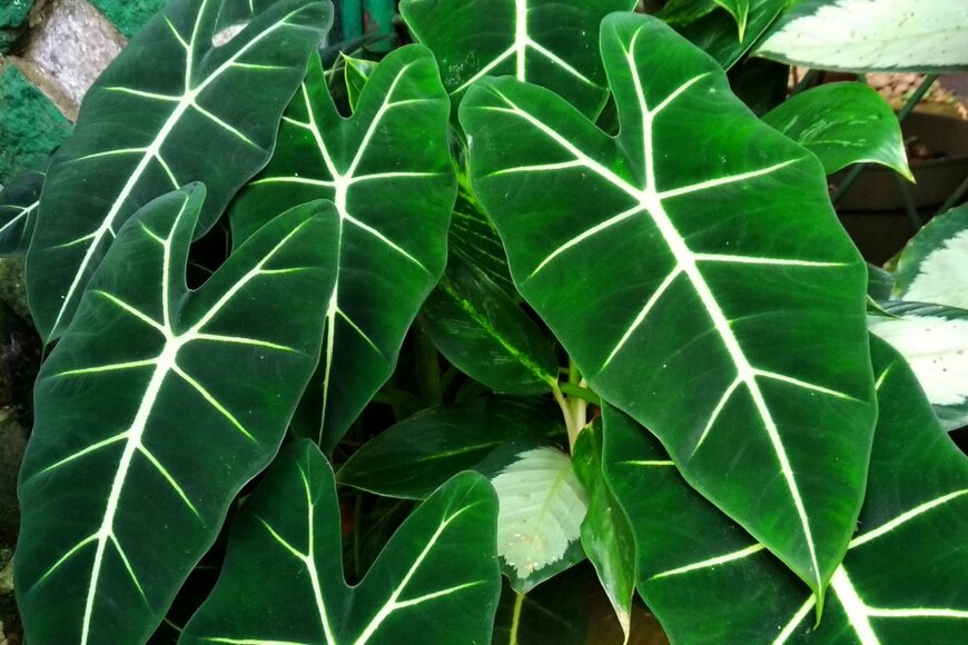 Sandiwild/shutterstock.com