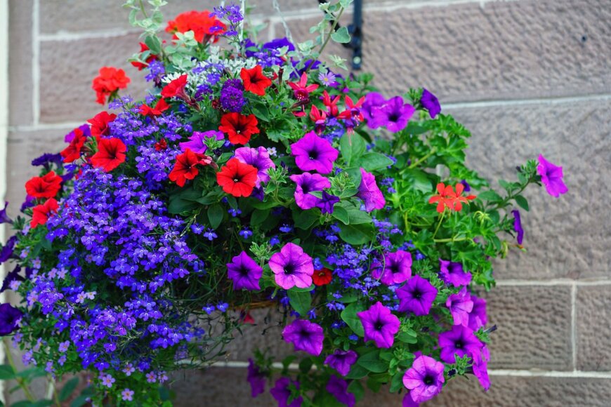 EQRoy/shutterstock.com