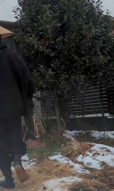 出所：@kusakari.zamurai