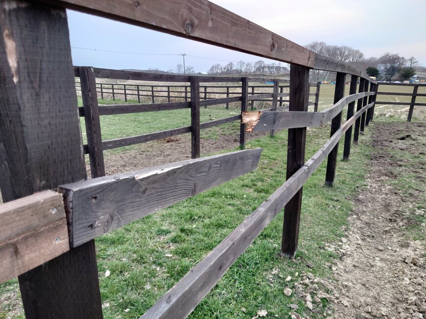 出所：Yogiboヴェルサイユリゾートファーム