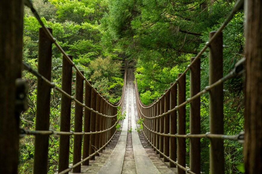 TETSU Snowdrop/shutterstock.com