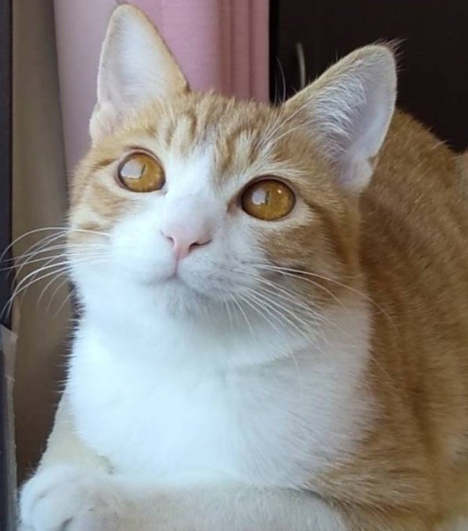 出所：@mero627puri914