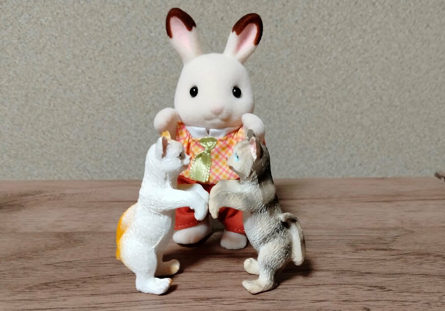 筆者撮影（ダイソー、縁にかけられるアニマル（猫））