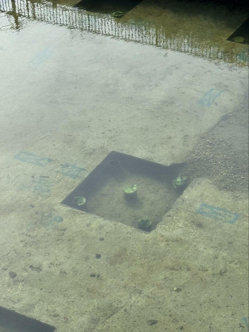 大きな池のようになっている場所