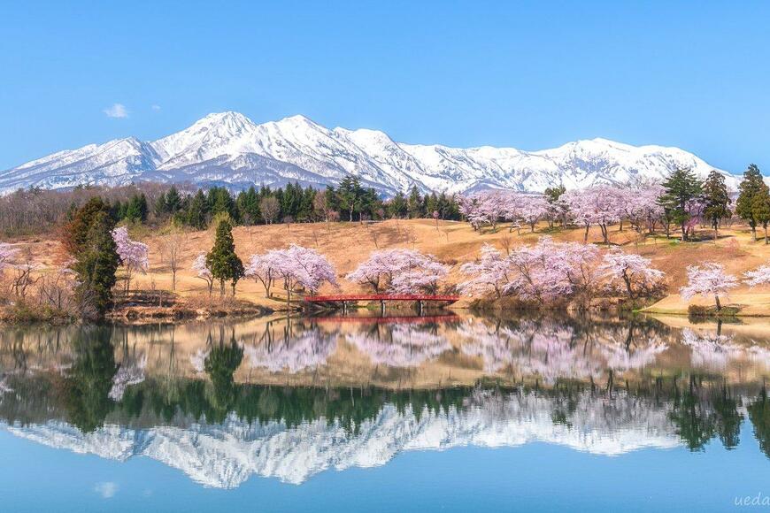 新潟県で撮影された美しい風景