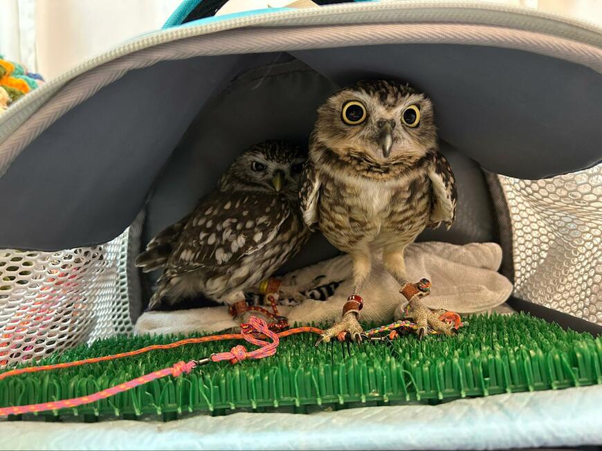 投稿動画のワンシーン