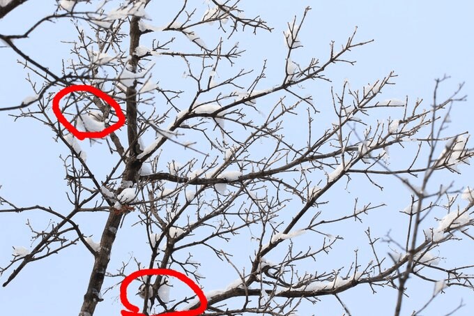 2つの場所にそれぞれ隠れていました！