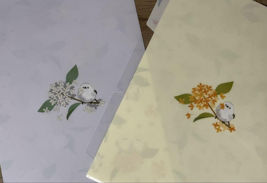 キャンドゥ、02KSA4クリアホルダー3ポケット画像