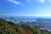 高知県で発見した「看板」を思わず二度見　まさかの避難場所に驚きの声