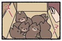 我が家にも来て頂きたい可愛さ…漫画「ねこもんすたー」がSNSで話題