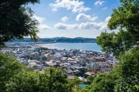 鎌倉で撮影した珍しい紫陽花　独特なグラデーションの品種に「知らなかった！」「めっちゃキレイ」