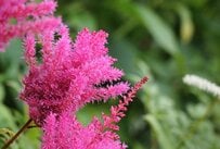 住民税非課税世帯向け【優遇措置5選】社会保険料の負担軽減、子育て支援など代表例を紹介。住民税非課税となる収入基準《年金・給与》ボーダーラインとは？