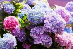 還暦60歳「ゆとりある老後生活費は月27万円」実際に足りるのか【ゆとりの中身】を確認