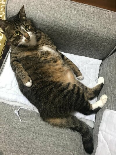 投稿の画像