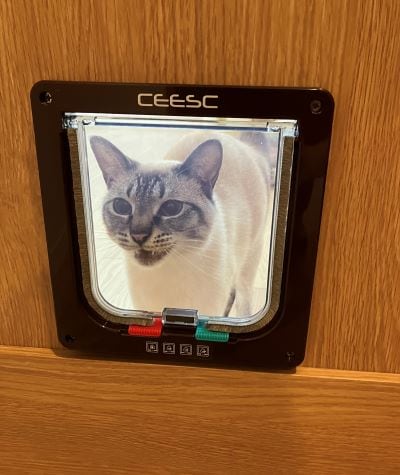 投稿の画像