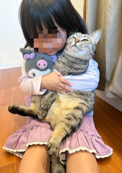 ぬいぐるみと一緒にぎゅーっ!