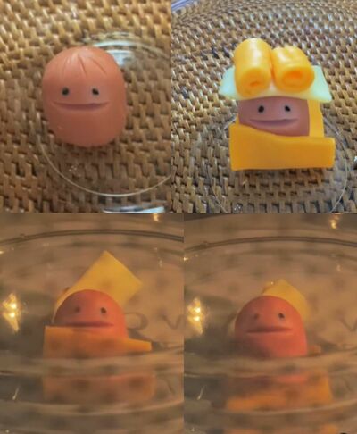 投稿動画のワンシーン