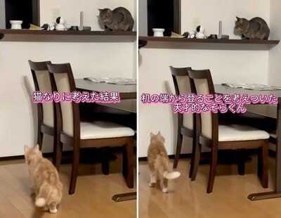 移動方法を考えついたそらくん