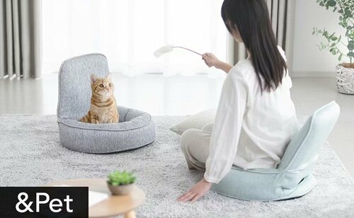 &Pet 持ち運びしやすいバケット座椅子