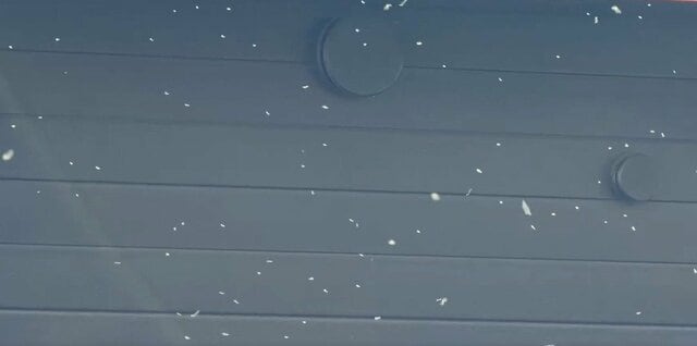 札幌で撮影された「雪が降っているような光景」 大量発生した「雪虫」に反響や苦労の声が続々