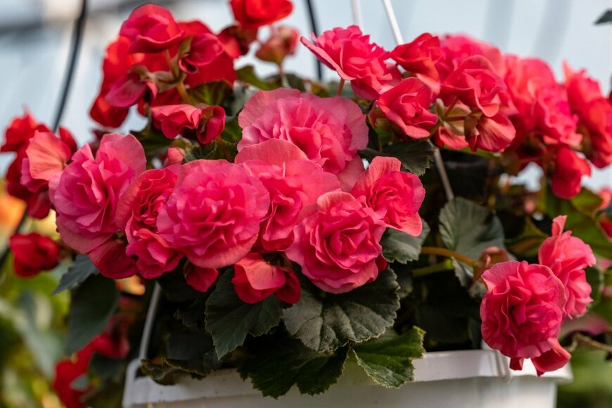 wjarek/istockphoto.com