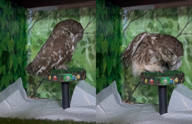 出所：@cr8673.hiro