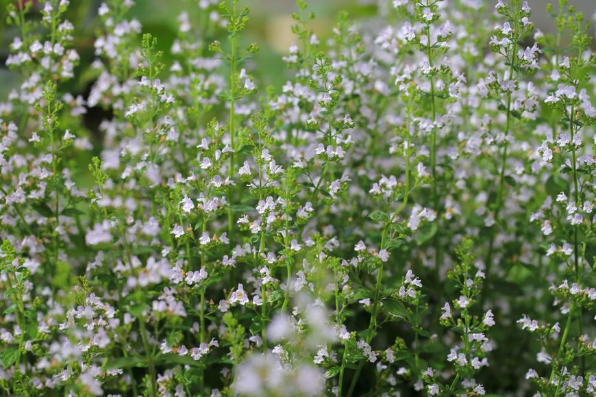 Traveller70/shutterstock.com