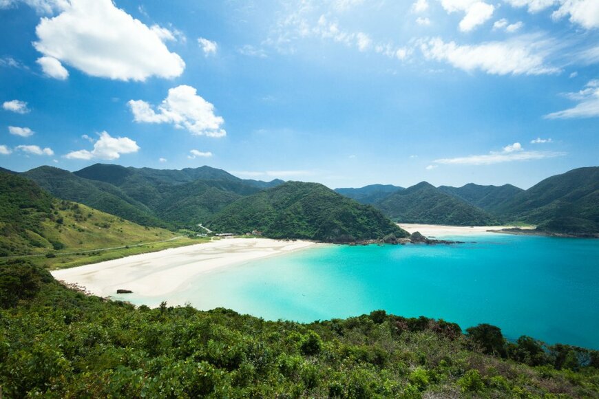 tororo reaction/shutterstock.com