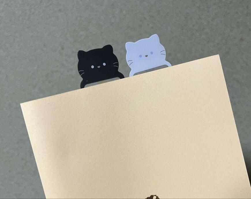 筆者撮影（キャンドゥ、リーディングトラッカー 2P シンプルアニマル）