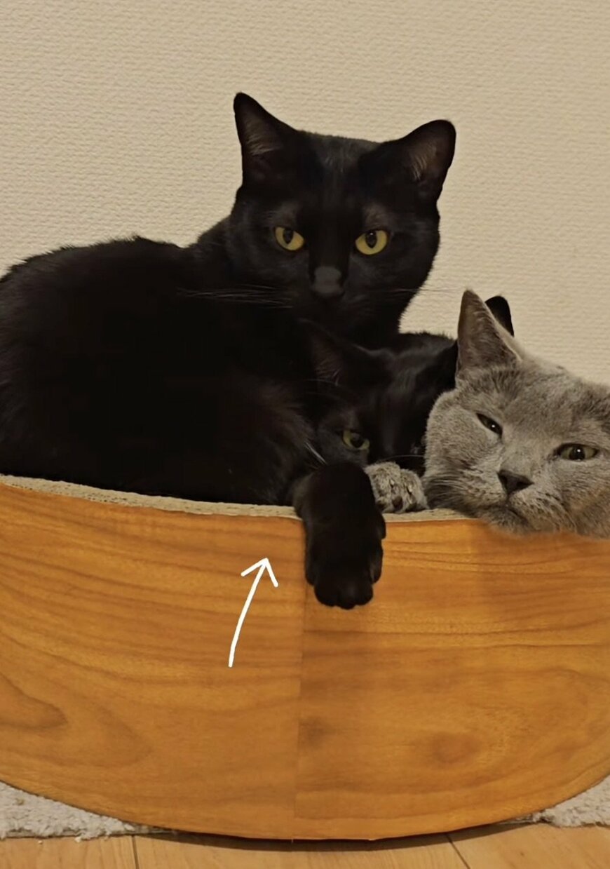 出所：@hukuhukuhappi