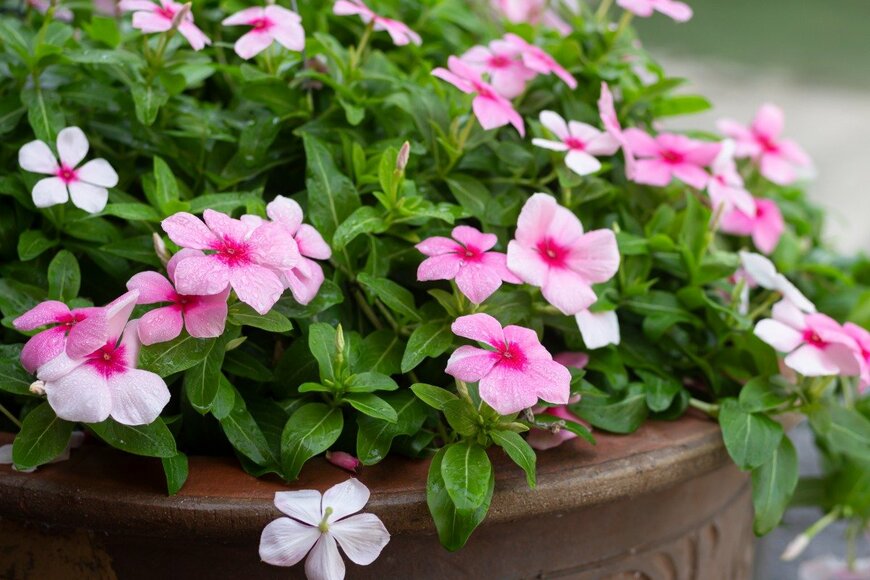 Wira Thigosee/istockphoto.com